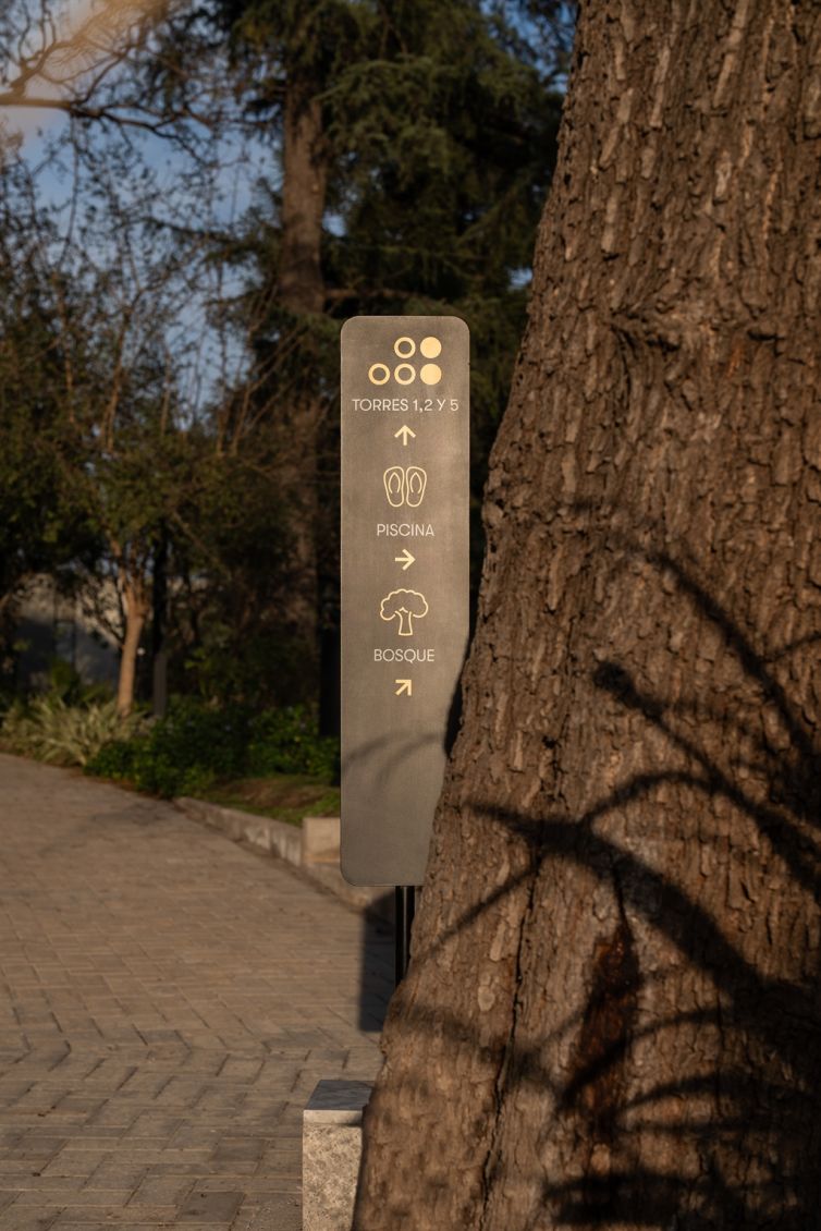 Mass Image Compressor, Quality:100